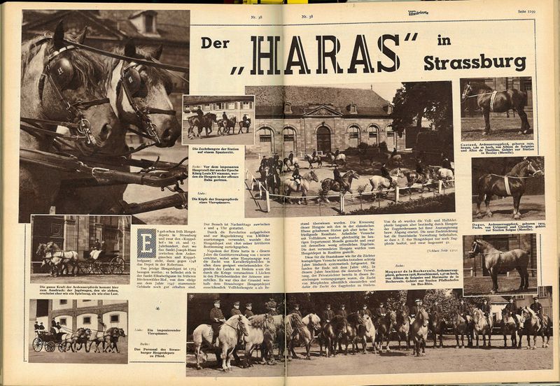 Fichier:Les haras de Strasbourg en 1933 (Neueste Illustrierte).jpg