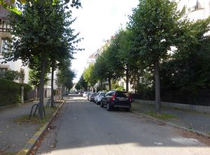 Rue Stoeber Strasbourg 73751.jpg